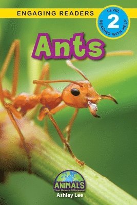 bokomslag Ants