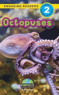 bokomslag Octopuses