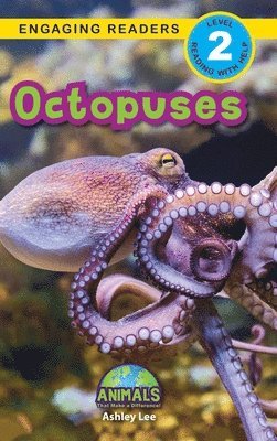 Octopuses 1