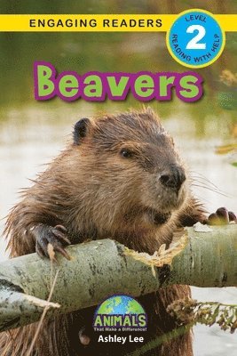 bokomslag Beavers