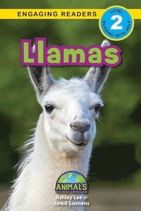 bokomslag Llamas