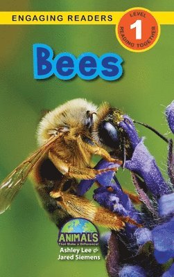 Bees 1