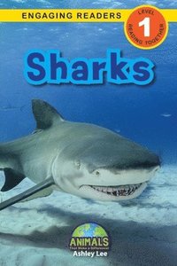 bokomslag Sharks