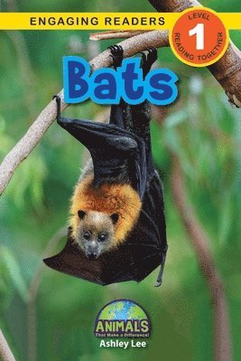 bokomslag Bats