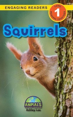 Squirrels 1