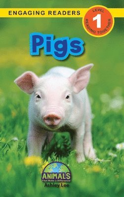 Pigs 1