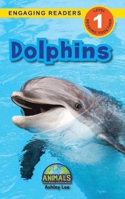 Dolphins 1