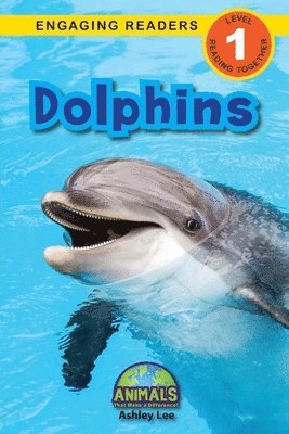 Dolphins 1