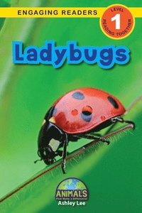 bokomslag Ladybugs