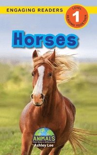 bokomslag Horses