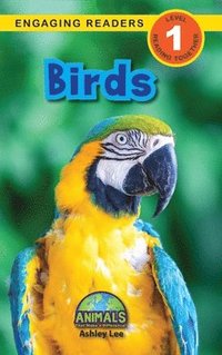 bokomslag Birds