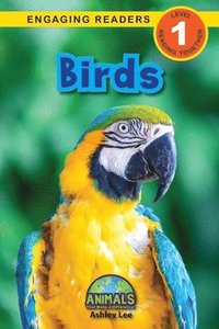 bokomslag Birds