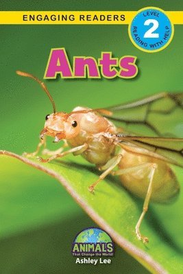 Ants 1