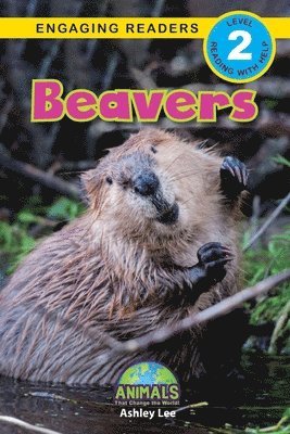 bokomslag Beavers