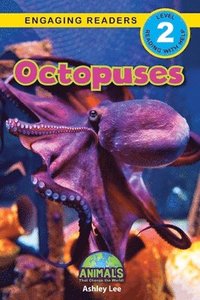 bokomslag Octopuses