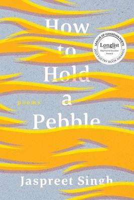 Jaspreet Singh - How to Hold a Pebble, Häftad