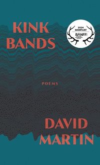bokomslag Kink Bands