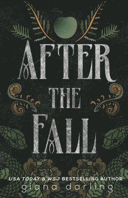 After the Fall Special Edition