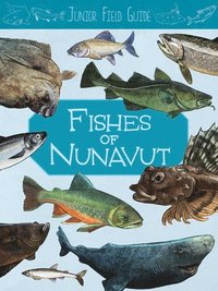 bokomslag Junior Field Guide: Fishes of Nunavut