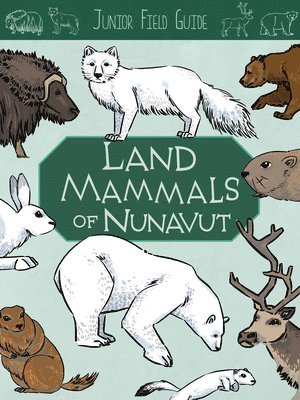 bokomslag Junior Field Guide: Land Mammals