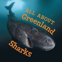 bokomslag All About Greenland Sharks