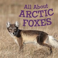 bokomslag All About Arctic Foxes