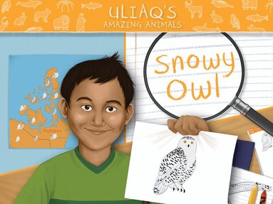 Amelia Spedaliere - Uliaq's Amazing Animals: Snowy Owl, Häftad