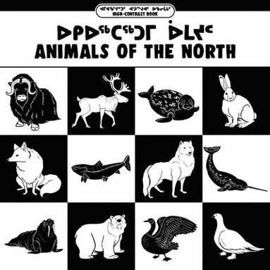 bokomslag Animals of the North