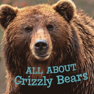 All about Grizzly Bears 1