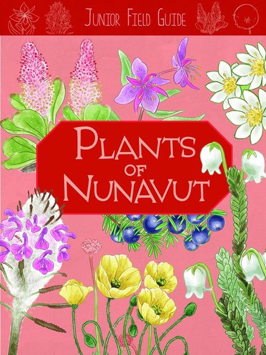 Carolyn Mallory - Junior Field Guide: Plants of Nunavut, Häftad