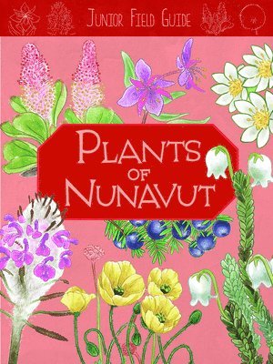 bokomslag Junior Field Guide: Plants of Nunavut
