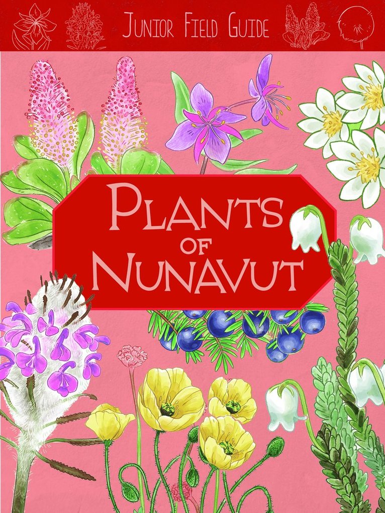 Carolyn Mallory - Junior Field Guide: Plants of Nunavut, Häftad