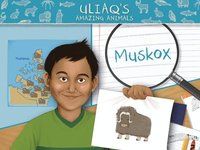 bokomslag Uliaq's Amazing Animals: Muskox