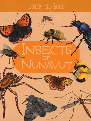 bokomslag Junior Field Guide: Insects of Nunavut
