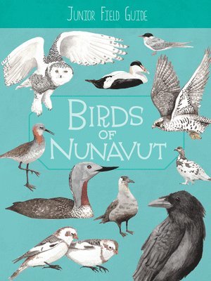bokomslag Junior Field Guide: Birds of Nunavut