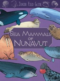bokomslag Junior Field Guide: Sea Mammals of Nunavut