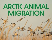 bokomslag Arctic Animal Migration