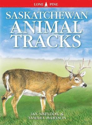 Saskatchewan Animal Tracks 1