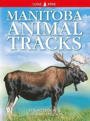 bokomslag Manitoba Animal Tracks