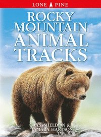 bokomslag Rocky Mountain Animal Tracks