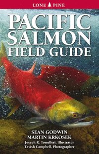 bokomslag Pacific Salmon Field Guide