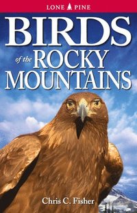 bokomslag Birds of the Rocky Mountains