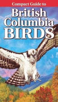 bokomslag Compact Guide to British Columbia Birds