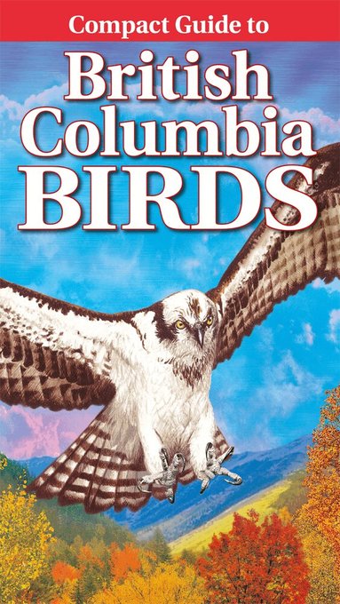 Krista Kagume, Wayne Campbell, Gregory Kennedy - Compact Guide to British Columbia Birds, Häftad