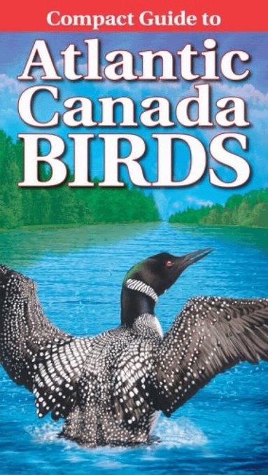 Roger Burrows, Krista Kagume, Carmen Adams - Compact Guide to Atlantic Canada Birds, Häftad