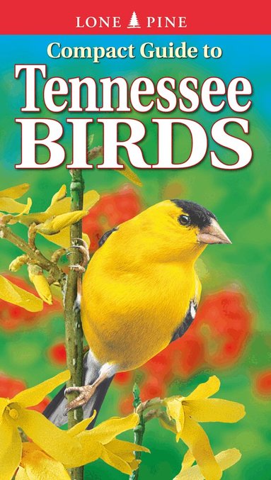 Michael Roedel, Gregory Kennedy - Compact Guide to Tennessee Birds, Häftad