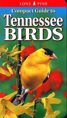 Compact Guide to Tennessee Birds 1