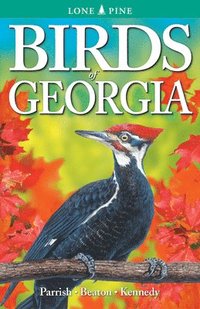 bokomslag Birds of Georgia