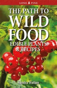 bokomslag The Path to Wild Food: Edible Plants & Recipes