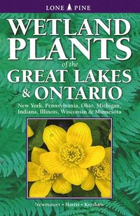 bokomslag Wetland Plants of the Great Lakes and Ontario